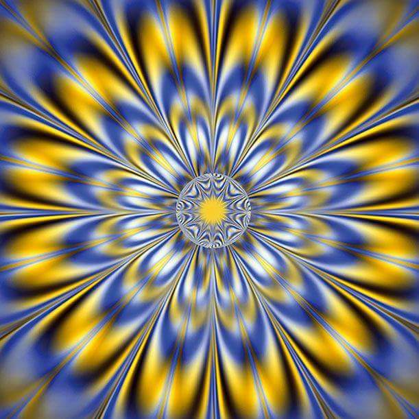 12038348_1675654806043511_1748841137277935015_n