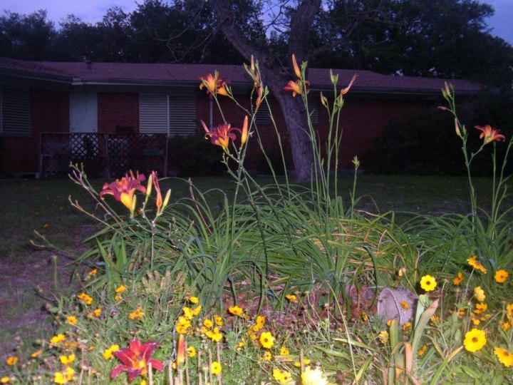 Facebook Pictures 036